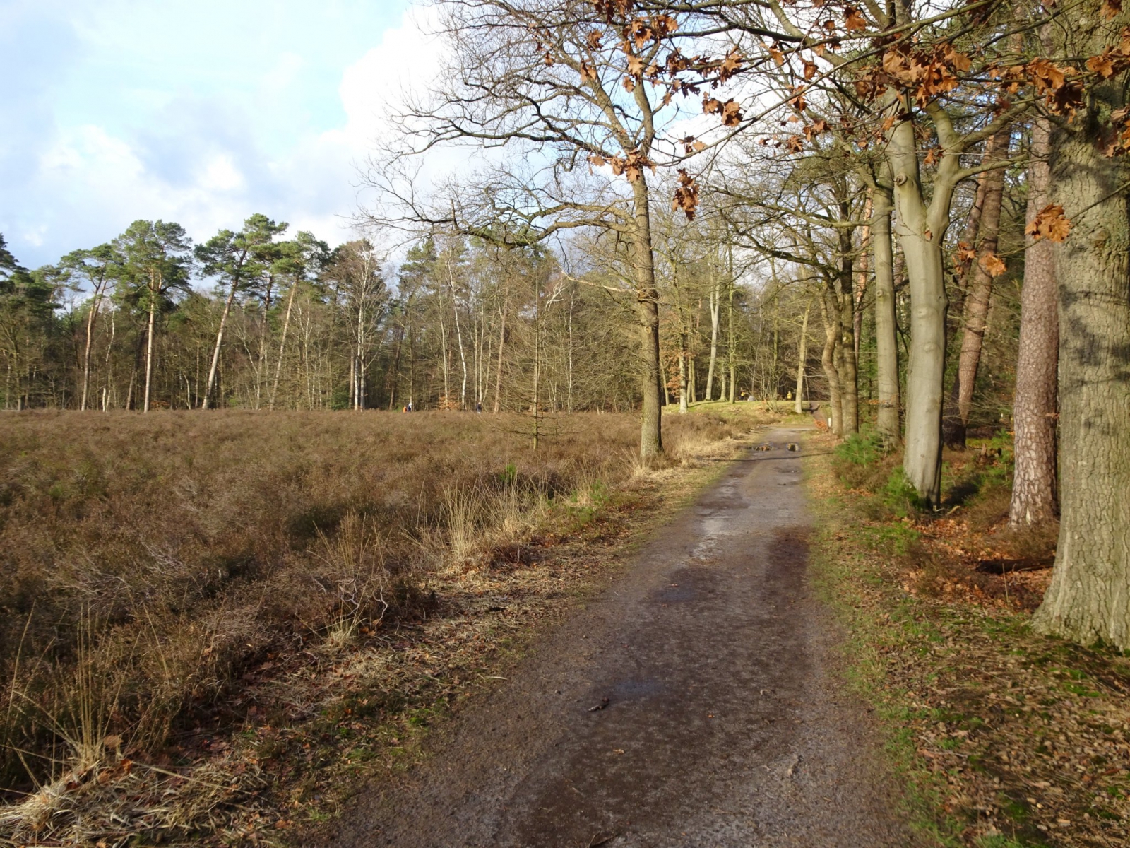 Natuur-Barchem