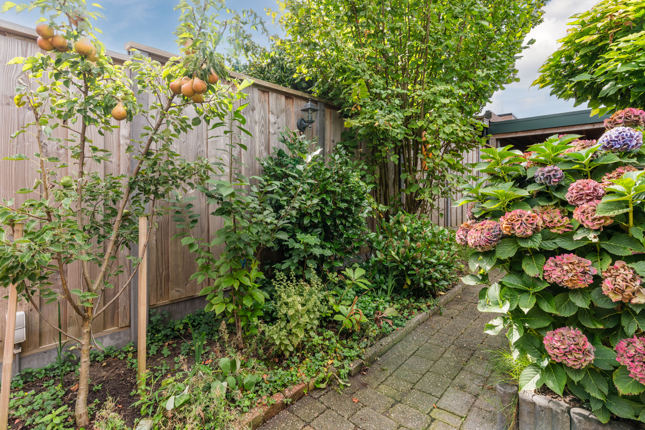 Berfloweg 232  Hengelo O