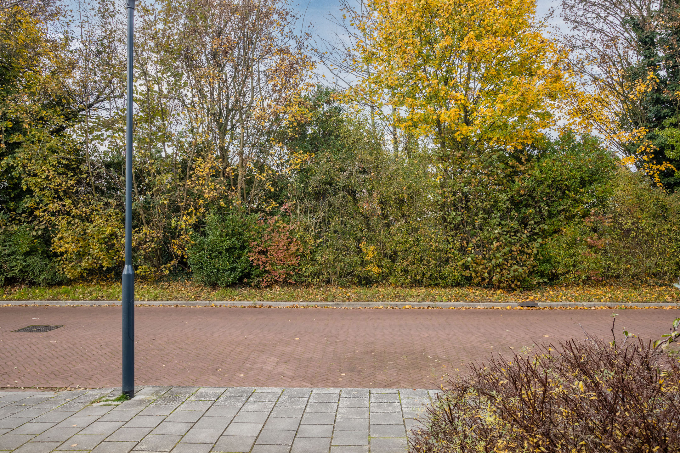 Berkellaan  45  Borculo