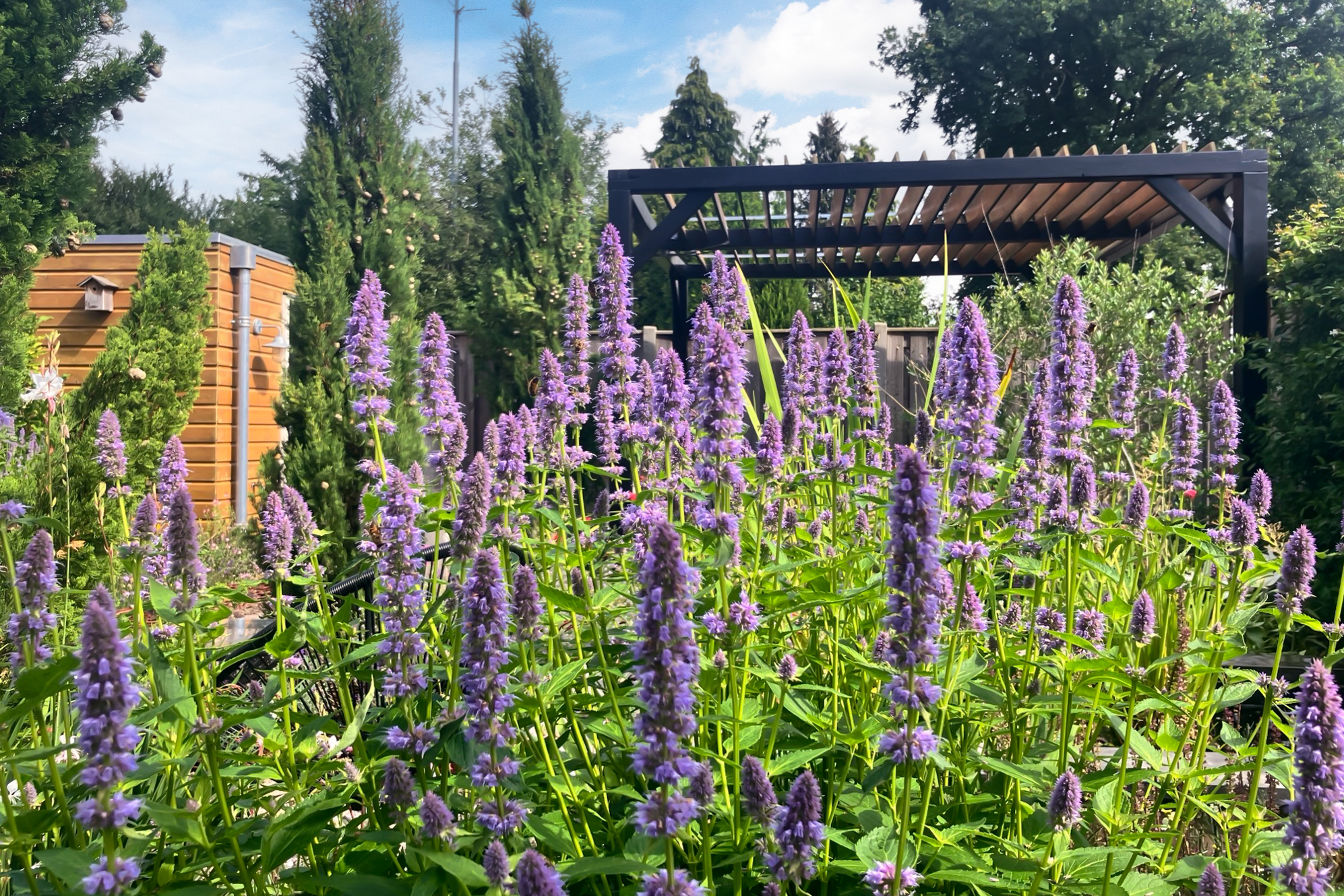 Eibergseweg  47b  Haarlo